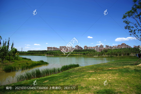 馬家灣濕地公園