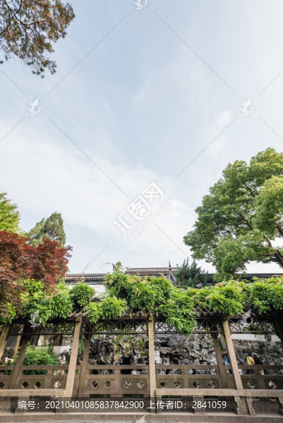中國(guó)蘇州獅子林的紫藤架