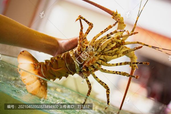 海鮮