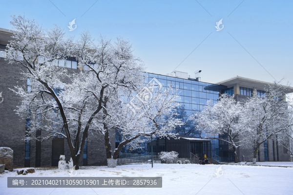 雪中的北大生命科學(xué)大樓