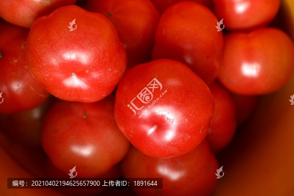 草莓番茄