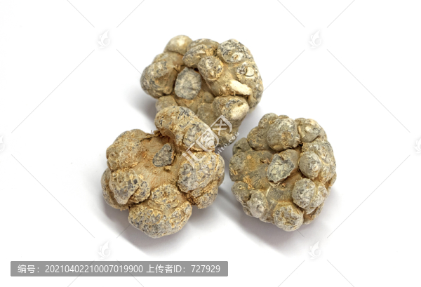 三七