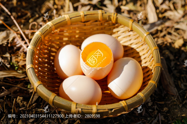 雞蛋