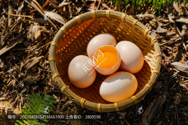 雞蛋