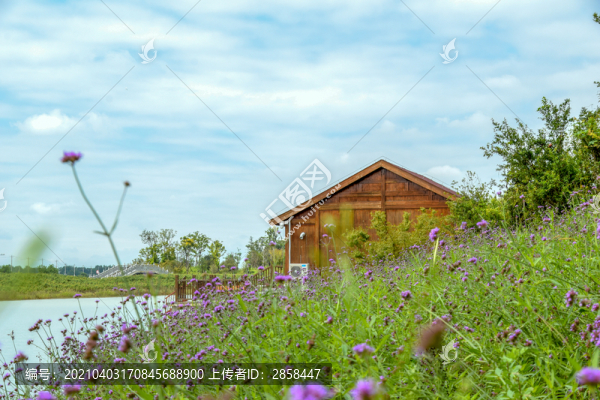 湖邊小木屋