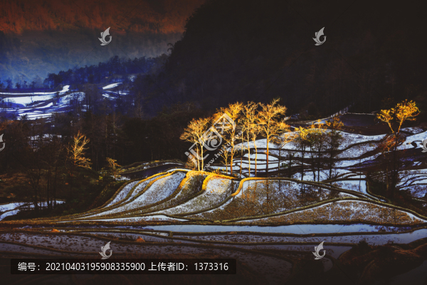 云南元陽梯田