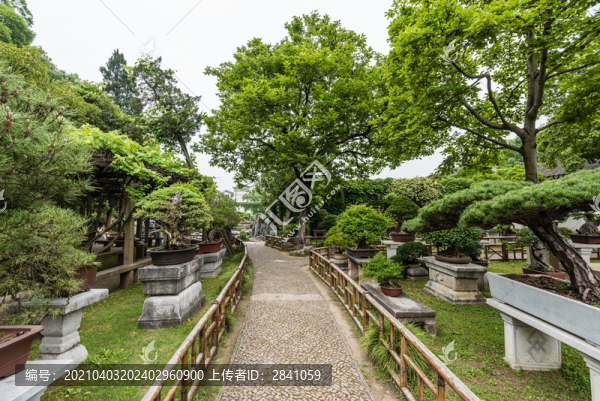 中國(guó)蘇州留園的盆景園