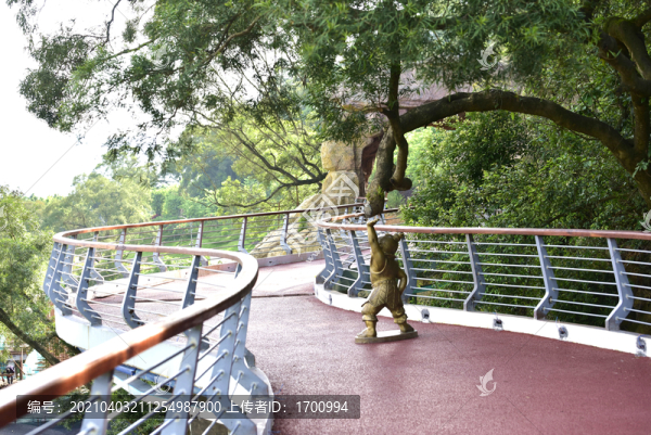 鳳山森林公園步道葫蘆娃