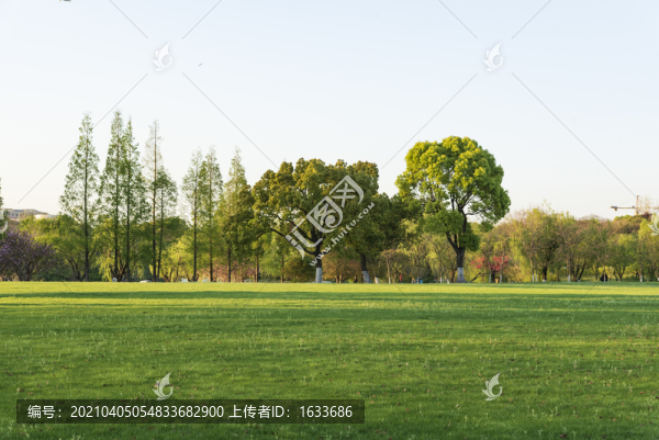 公園綠化