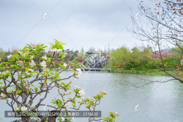 園林春景