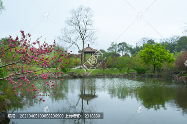 詩(shī)意江南