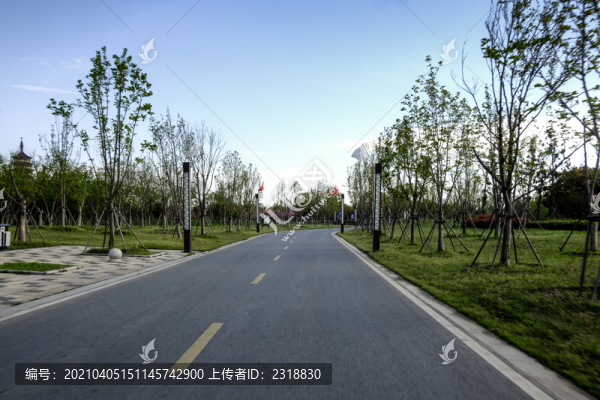 園區(qū)道路