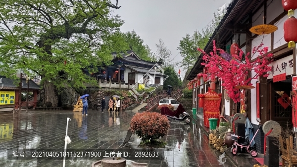 西鄉(xiāng)駱家壩茶園