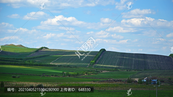 草原風(fēng)光