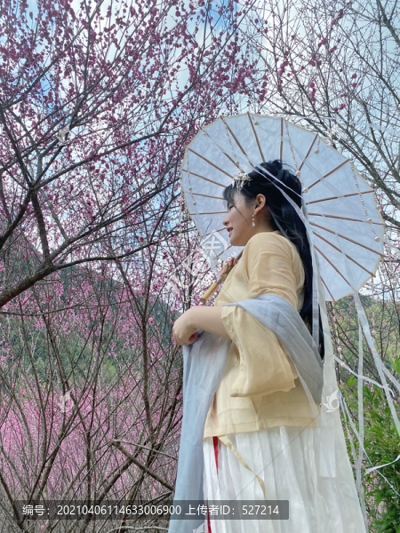 撐油紙傘的古風(fēng)女子