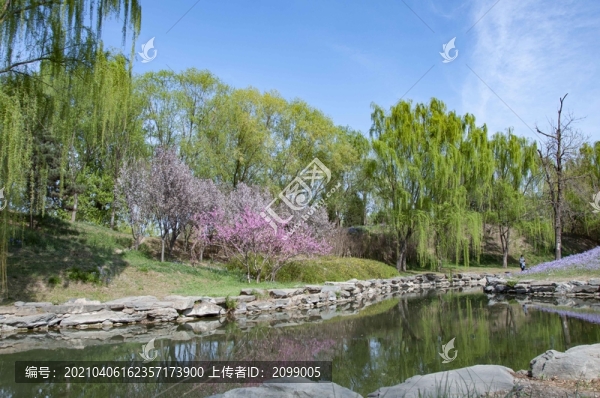 圓明園