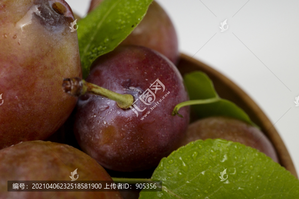澳洲西梅