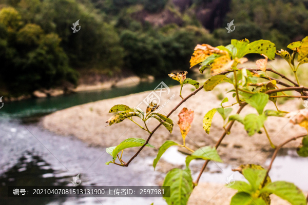 武夷山風(fēng)光