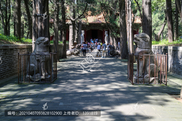曲阜三孔景區(qū)孔林