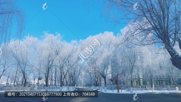 霧凇樹掛