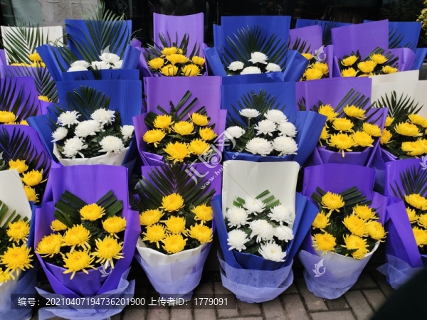 菊花