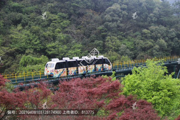 山林觀光列車