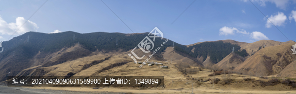 冬天的牧場(chǎng)