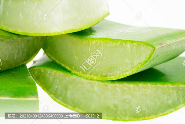 蘆薈