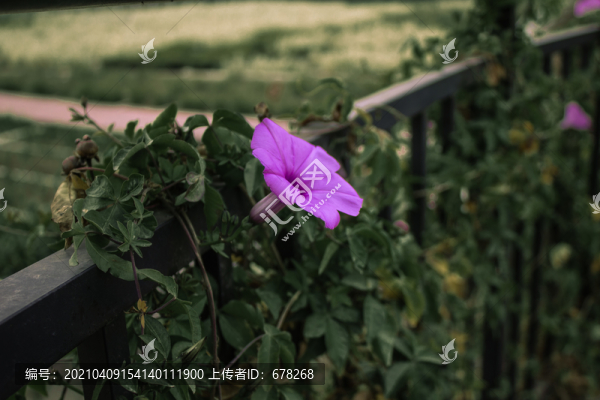 牽?；? title=