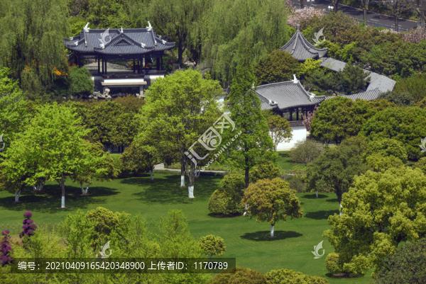 寧波月湖景觀