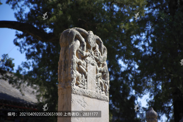 北京三大花卉寺廟之大覺寺