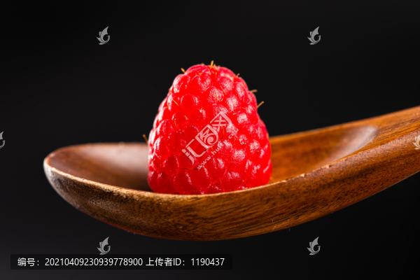 樹莓