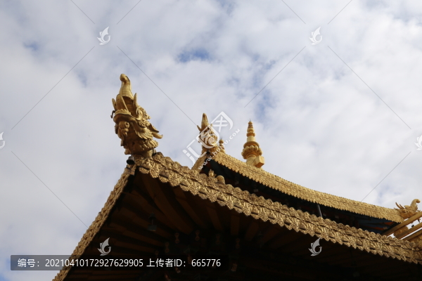西藏