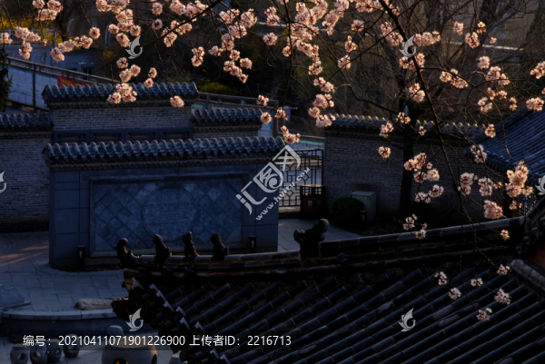 春色滿園