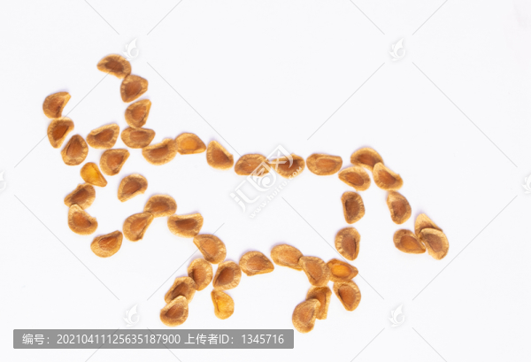 種子創(chuàng)意牛圖案