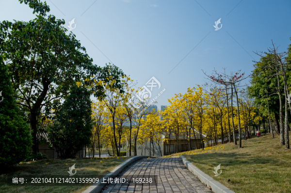 公園