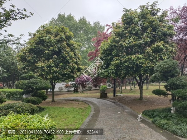 公園