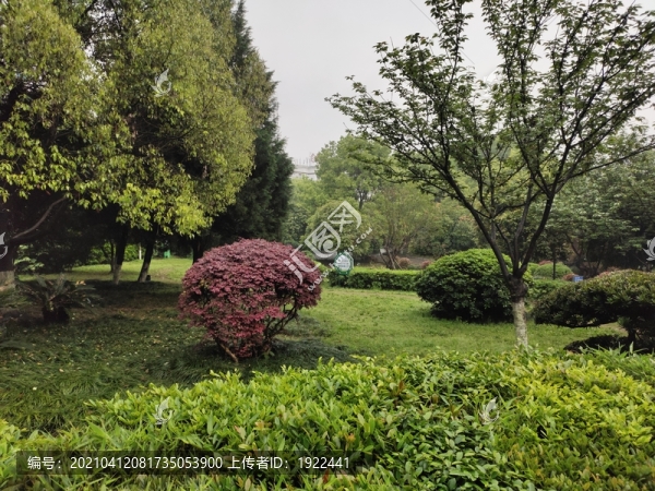 公園