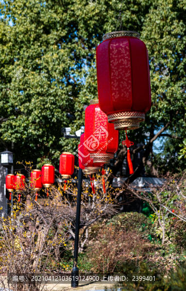 上海普陀真如公園