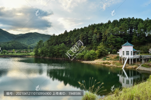 山湖樹林
