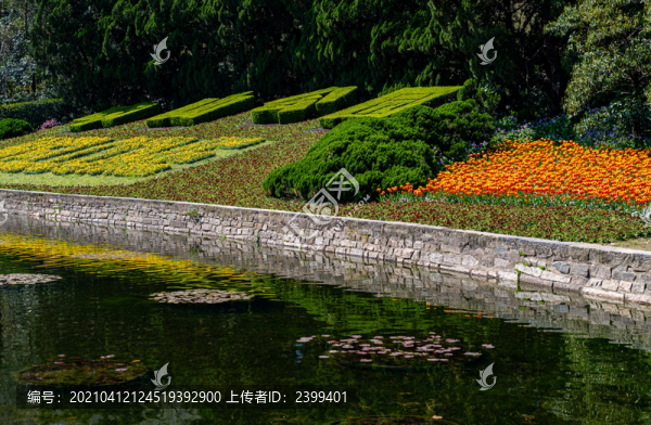 上海中山公園春天