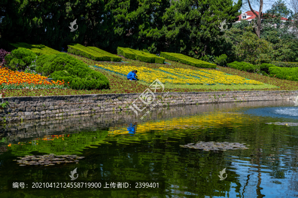 上海中山公園春天