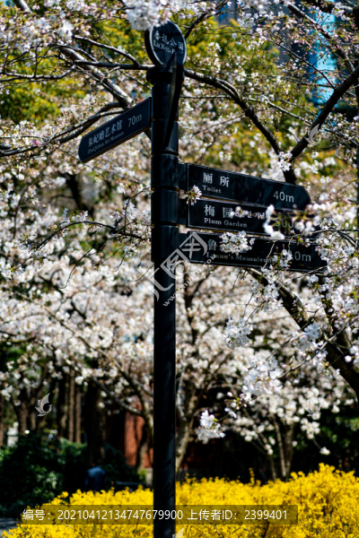 上海魯迅公園春天