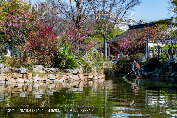上海嘉定南翔古猗園春天景觀