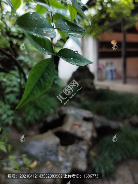 留園