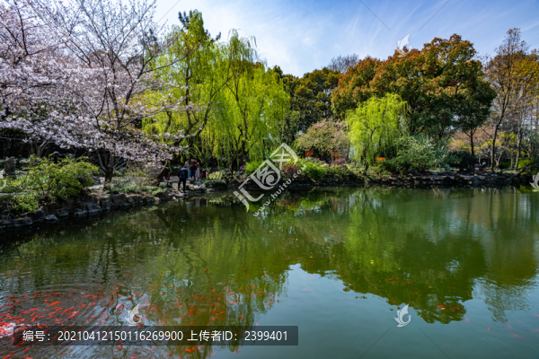 上海嘉定南翔古猗園春色