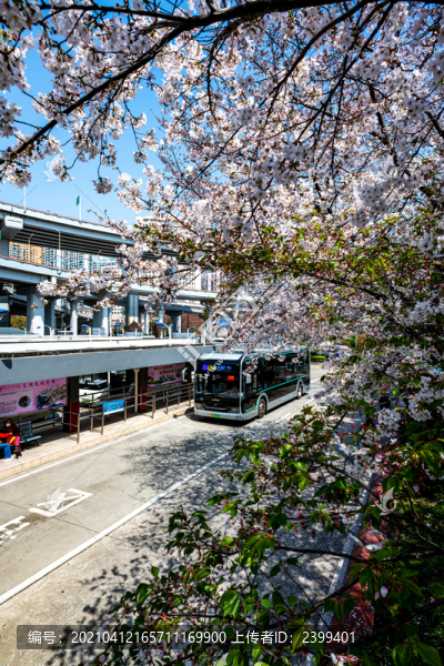 上海南浦大橋浦西公交車(chē)站