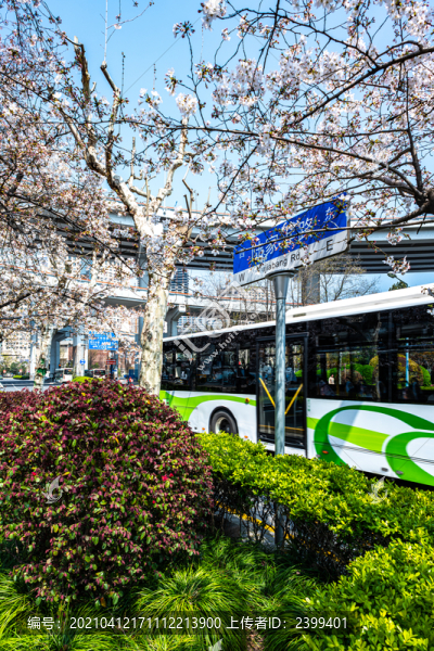 上海南浦大橋浦西公交櫻花車站