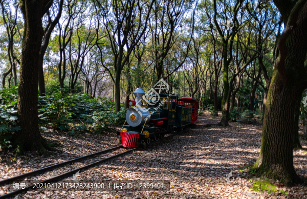 上海共青國家森林公園小火車
