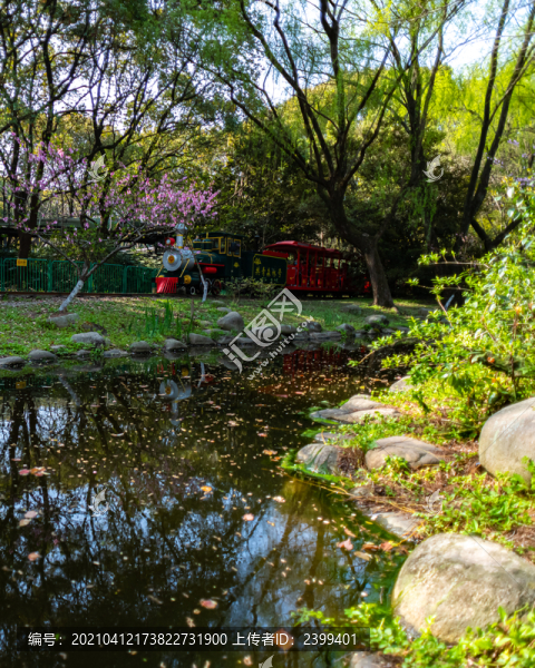 上海共青國家森林公園森林小火車